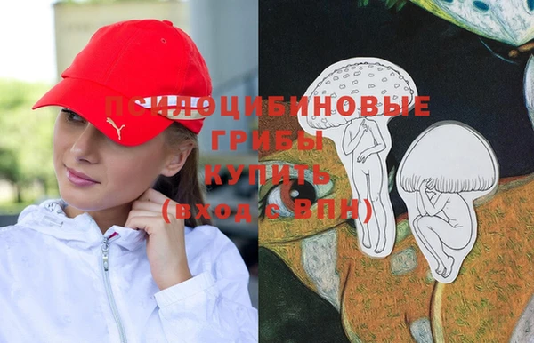 спиды Алексин